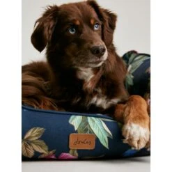Joules Floral Box Dog Bed -ROYAL CANIN Shop I9637426 en 06
