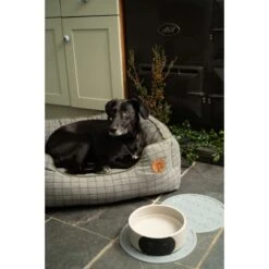 Petface Square Dog Bed - Moss Green -ROYAL CANIN Shop I9647277 en 04