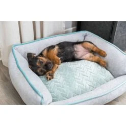 Trixie Junior Dog Bed - Light Grey/Mint -ROYAL CANIN Shop I9658331 en 05