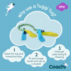 Coachi Tuggi Tug Toy For Dogs - Navy, Lime & Light Blue -ROYAL CANIN Shop I9659291 en 04