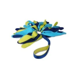 Coachi Tuggi Spider Toy For Dogs - Navy, Lime & Light Blue -ROYAL CANIN Shop I9659292