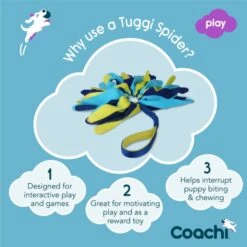 Coachi Tuggi Spider Toy For Dogs - Navy, Lime & Light Blue -ROYAL CANIN Shop I9659292 en 04