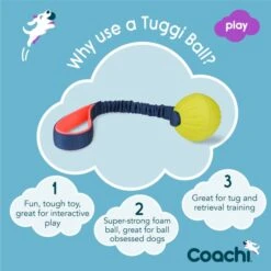 Coachi Tuggi Ball Toy For Dogs - Navy, Coral & Lime -ROYAL CANIN Shop I9659295 en 04