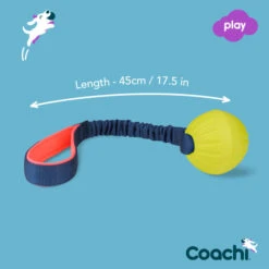 Coachi Tuggi Ball Toy For Dogs - Navy, Coral & Lime -ROYAL CANIN Shop I9659295 en 06